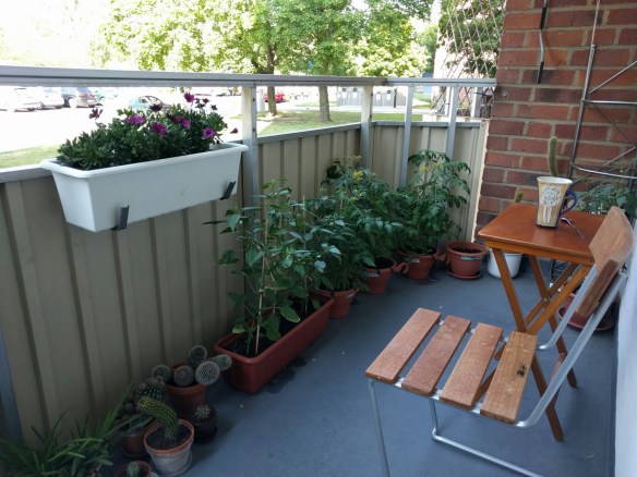 wp-1466838938008 image